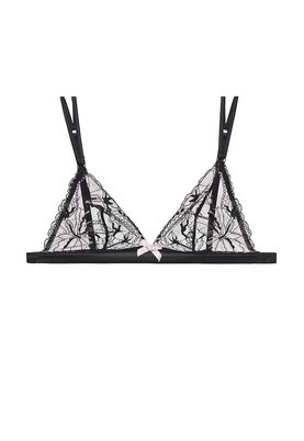 L'Agent by Agent Provocateur  MACIE